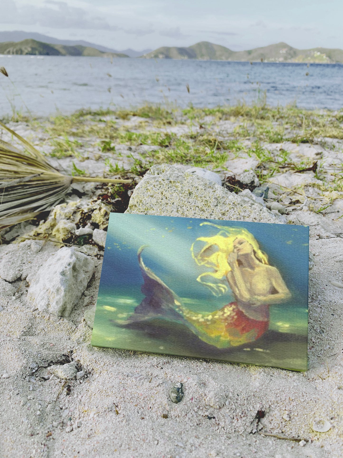 Rainbow Mermaid Canvas Print 4"x6"